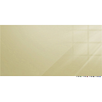 Ghent Magnetic Aria - Horizontal 60