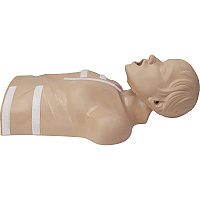ZOLL CPR-D Demo Manikin 1 Each - Green (8000083501)
