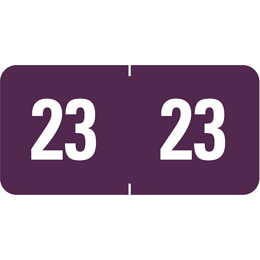 Smead ETS Color-Coded Year Labels 1/2" Height x 1" Width - Rectangle - Purple - Laminated - 250 / Pack (67923)