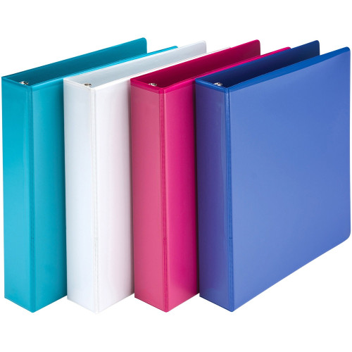 Samsill Economy View Binders (MS28598)