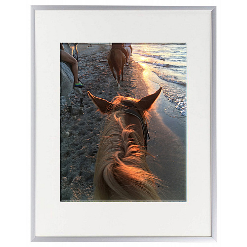 Seco Picture Frame 11" x 14" Frame Size - Rectangle - Vertical, Horizontal - Aluminum - Silver - 1 Each (AL1114SV)