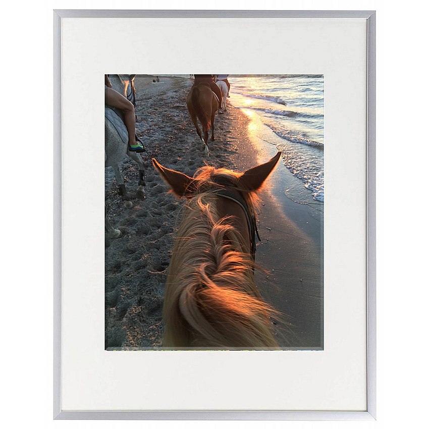 Seco Picture Frame 11" x 14" Frame Size - Rectangle - Vertical, Horizontal - Aluminum - Silver - 1 Each (AL1114SV)