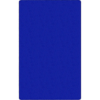Flagship Carpets Americolors Solid Color Rug Floor Rug - Traditional - 18 ft Length x 12 ft Width - Rectangle - Royal Blue - Nylon, Yarn - 1 Each (AS80RB)
