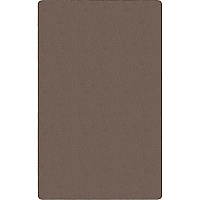 Flagship Carpets Americolors Solid Color Rug Floor Rug - Traditional - 18 ft Length x 12 ft Width - Rectangle - Almond - Nylon, Yarn - 1 Each (AS80AL)