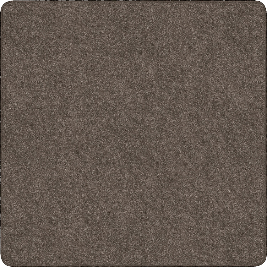 Flagship Carpets Amerisoft Solid Color Rug 12 ft Length x 12 ft Width - Square - Wheat - Nylon, Polyester - 1 Each (TS70WT)