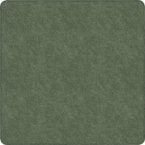 Flagship Carpets Amerisoft Solid Color Rug 12 ft Length x 12 ft Width - Square - Sage Green - Nylon, Polyester - 1 Each (TS70SG)