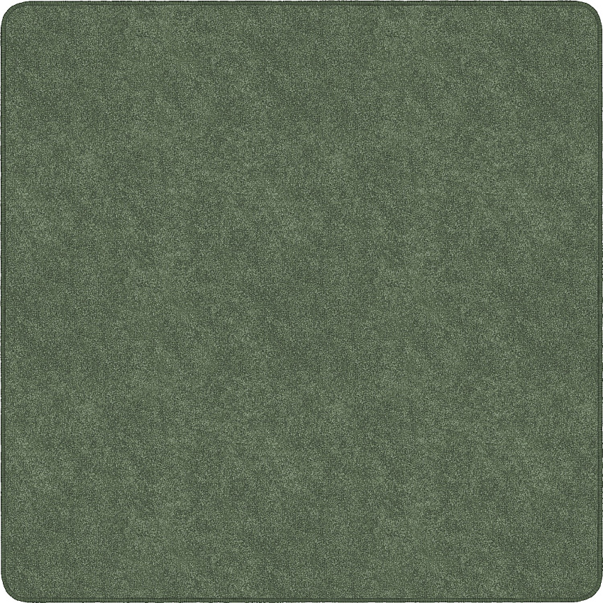 Flagship Carpets Amerisoft Solid Color Rug 12 ft Length x 12 ft Width - Square - Sage Green - Nylon, Polyester - 1 Each (TS70SG)