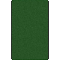 Flagship Carpets Americolors Solid Color Rug Floor Rug - Traditional - 18 ft Length x 12 ft Width - Rectangle - Clover - Nylon, Yarn - 1 Each (AS80CL)