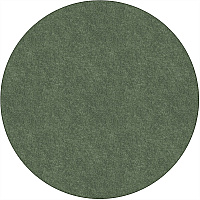 Flagship Carpets Amerisoft Solid Color Rug 72" Diameter - Round - Sage Green - Nylon, Polyester - 1 Each (TS27SG)