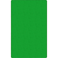 Flagship Carpets Americolors Solid Color Rug Floor Rug - Traditional - 15 ft Length x 12 ft Width - Rectangle - Lime Green - Nylon, Yarn - 1 Each (AS76LG)
