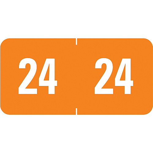 Smead ETS Color-Coded Year Labels 1/2" Height x 1" Width - Rectangle - Orange - Laminated - 10 Total Sheets - 250 Total Label(s) - 250 / Pack (67924)
