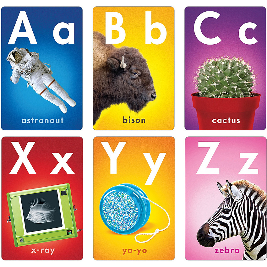 Trend ABC Photo Fun Learning Set Learning Theme/Subject - Durable, Reusable, Sturdy - Multi - 1 Each (T19007)