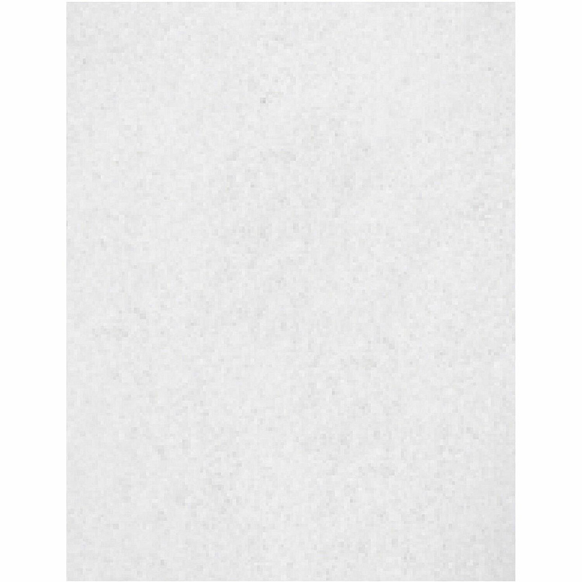 Genuine Joe Polishing Floor Pad 14" Width20" Length - Polishing, Floor - 175 rpm to 350 rpm Speed Supported - Durable, Long Lasting, Non-abrasive - Fiber, Resin - White - 5 / Carton (GJOH8054)