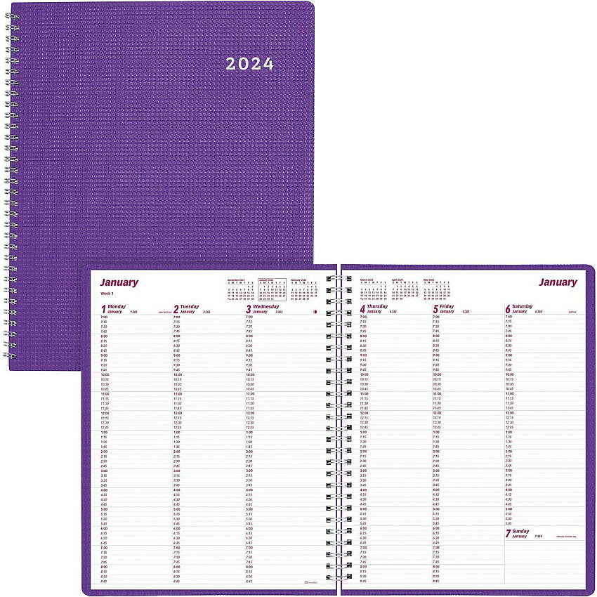 Brownline DuraFlex Weekly Appointment Planner (CB950VPUR)