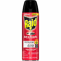 Raid Ant & Roach Killer Spray Spray - Kills Cockroaches, Ants, Silverfish, Water Bugs, Palmetto Bug, Carpet Beetle, Earwig, Spider, Lady Beetle, Black Widow Spider, Crickets, ... - 1.09 lb - Clear - 1 Each (366000)