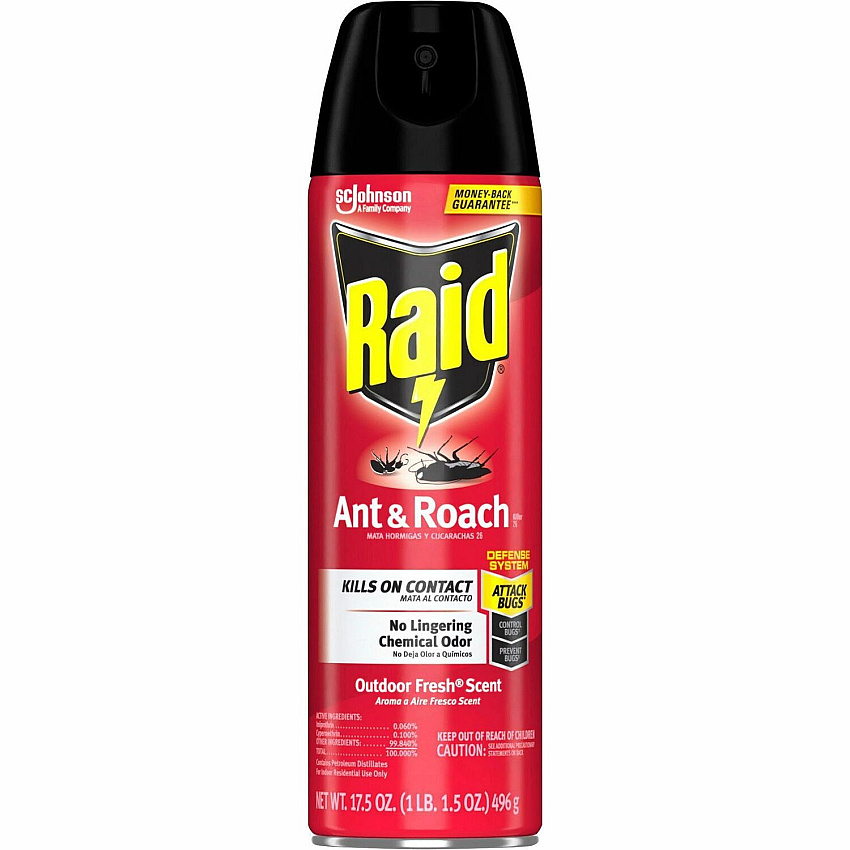 Raid Ant & Roach Killer Spray Spray - Kills Cockroaches, Ants, Silverfish, Water Bugs, Palmetto Bug, Carpet Beetle, Earwig, Spider, Lady Beetle, Black Widow Spider, Crickets, ... - 1.09 lb - Clear - 1 Each (366000)