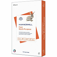 Hammermill Fore Multi-Purpose 20 lb. Paper 96 Brightness - 90% Opacity - 8 1/2" x 14" - 20 lb Basis Weight - 75 g/m² Grammage - Jam-free, ColorLok Technology, Acid-free, Fast-drying, Double-sided - White - 500 Sheets per Ream - 10 / Carton (103291CT)