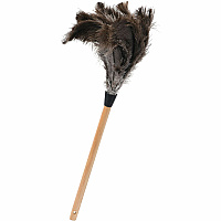 Tatco Feather Duster 12