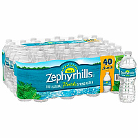 Zephyrhills Natural Spring Water 16.90 fl oz (500 mL) - 48 / Pallet (183135PL)