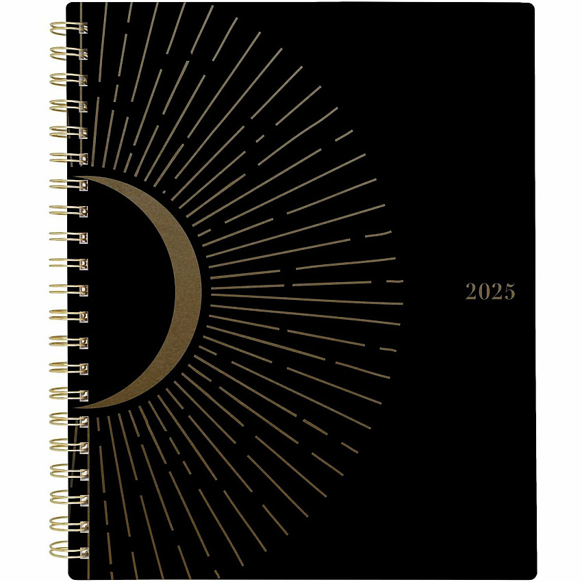 At-A-Glance Radiate Weekly/Monthly Planner Weekly, Monthly - 12 Month - January 2025 to December 2025 - 1 Week, 1 Month Double Page Layout - 5 1/2" x 8 1/2" Sheet Size - Twin Wire - Multi - Poly Cover - Tabbed, Holiday Listing, Sticker Sheet, Du (1725200)
