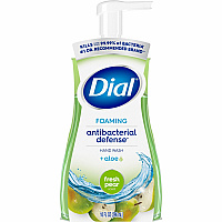Dial Foaming Hand Wash Fresh Pear Scent - 10 fl oz - Pump Bottle Dispenser - Kill Germs - Hand, Skin - Green - 1 Each (34721)