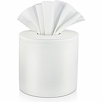Solaris Paper Livi Center-Pull Towels 2 Ply - 7