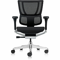 Eurotech Ergohuman Xtreme Executive Chair Mesh Back Material - High Back - 5-star Base - Black - Armrest - 1 Each (ME3ERGLOXTRM)