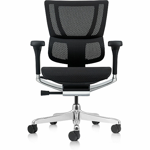 Eurotech Ergohuman Xtreme Executive Chair Mesh Back Material - High Back - 5-star Base - Black - Armrest - 1 Each (ME3ERGLOXTRM)