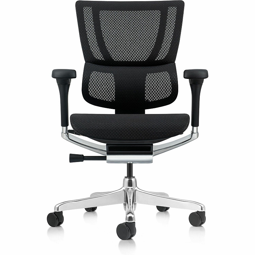 Eurotech Ergohuman Xtreme Executive Chair Mesh Back Material - High Back - 5-star Base - Black - Armrest - 1 Each (ME3ERGLOXTRM)