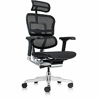 Eurotech ErgoHuman Gen2 Executive All-Mesh Chair Black Seat Color - Mesh Seat Material - Black Back Color - Mesh Back Material - Black Frame Color - Fiber Polymer Composite (FPC) Frame Material - 5-star Base - Black - Mesh - Armrest - 1 Each (ME7ERGG2BK)