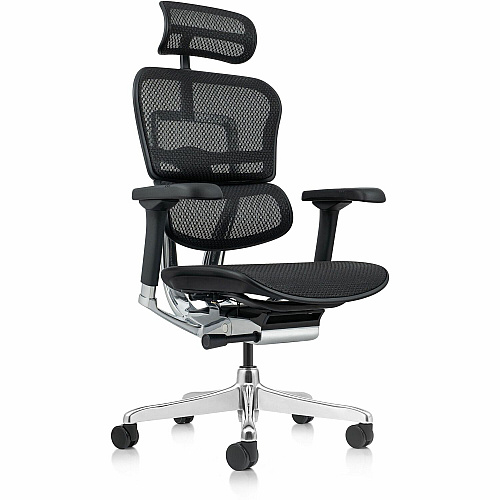 Eurotech ErgoHuman Gen2 Executive All-Mesh Chair Black Seat Color - Mesh Seat Material - Black Back Color - Mesh Back Material - Black Frame Color - Fiber Polymer Composite (FPC) Frame Material - 5-star Base - Black - Mesh - Armrest - 1 Each (ME7ERGG2BK)