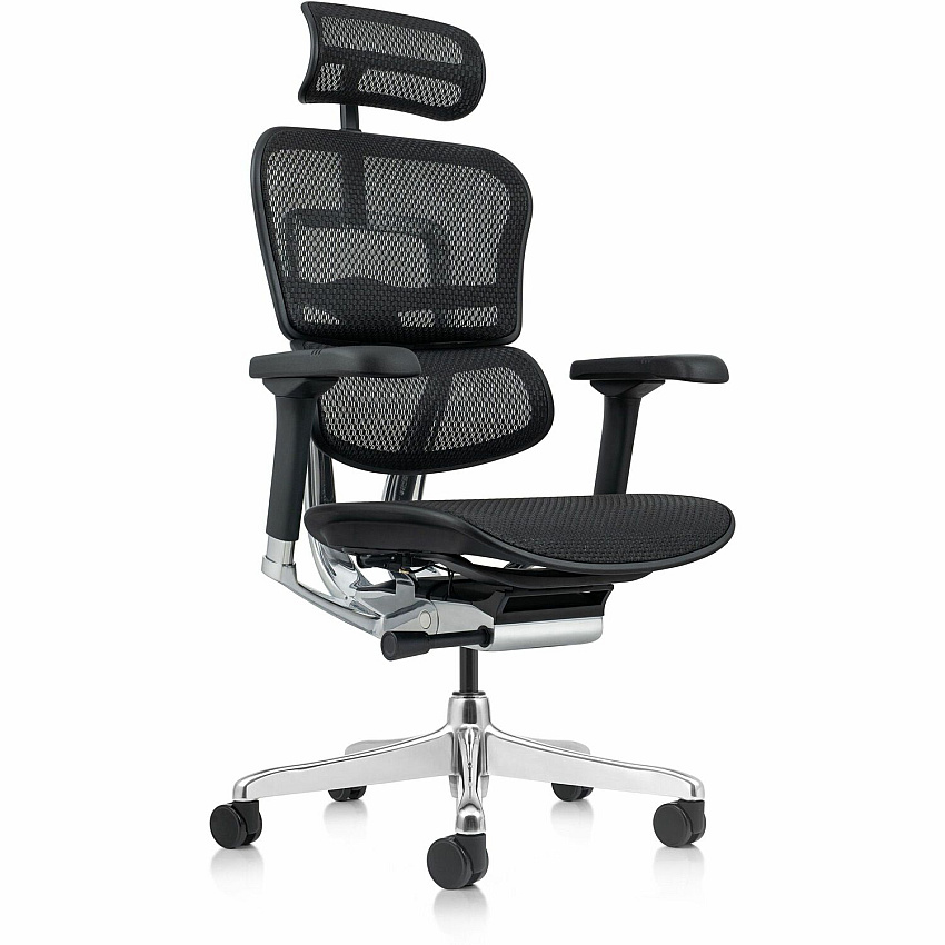 Eurotech ErgoHuman Gen2 Executive All-Mesh Chair Black Seat Color - Mesh Seat Material - Black Back Color - Mesh Back Material - Black Frame Color - Fiber Polymer Composite (FPC) Frame Material - 5-star Base - Black - Mesh - Armrest - 1 Each (ME7ERGG2BK)