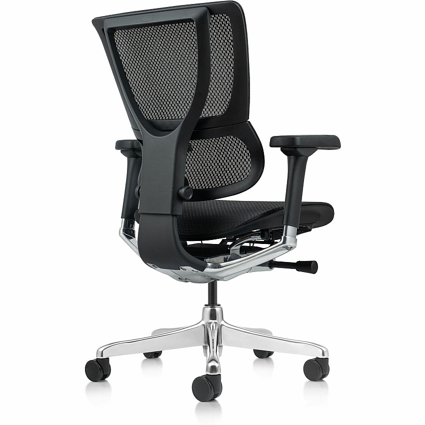 Raynor Ergohuman Xtreme Executive Chair Mesh Back Material - High Back - Black - Armrest - 1 Each (ME2ERGXTRM)