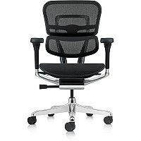 Eurotech ErgoHuman Gen2 Executive All-Mesh Chair Fiber Polymer Composite (FPC) Frame Material - 5-star Base - Black - Mesh - Armrest - 1 Each (ME8ERGLOG2BK)
