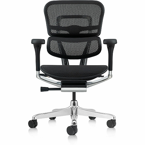 Eurotech ErgoHuman Gen2 Executive All-Mesh Chair Fiber Polymer Composite (FPC) Frame Material - 5-star Base - Black - Mesh - Armrest - 1 Each (ME8ERGLOG2BK)