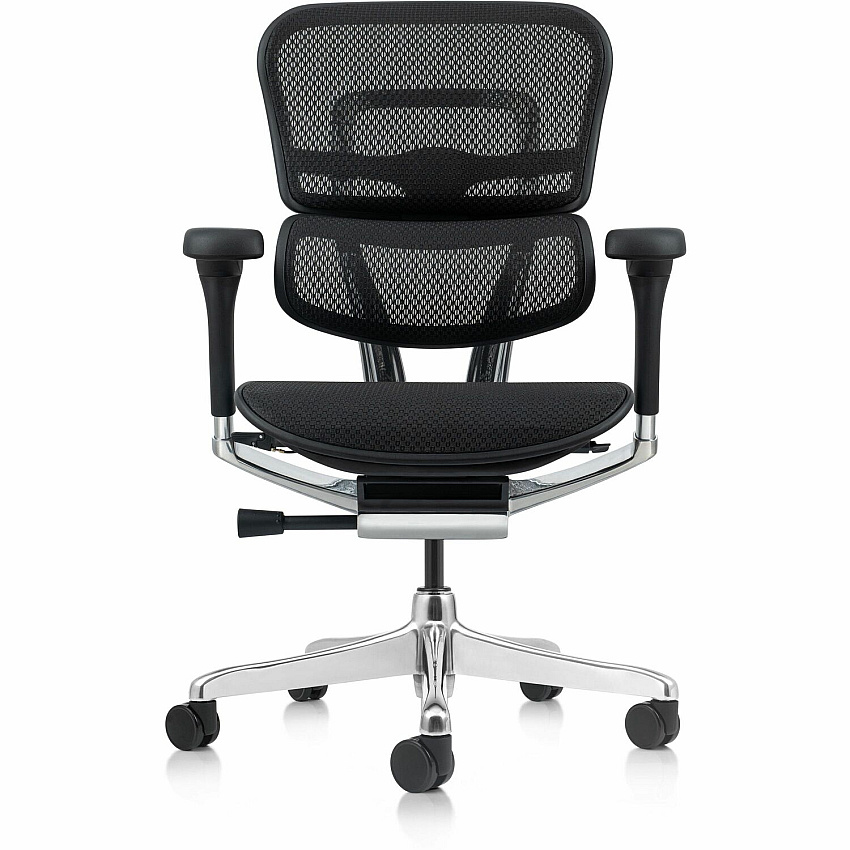 Eurotech ErgoHuman Gen2 Executive All-Mesh Chair Fiber Polymer Composite (FPC) Frame Material - 5-star Base - Black - Mesh - Armrest - 1 Each (ME8ERGLOG2BK)