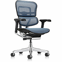 Eurotech ErgoHuman Gen2 Executive All-Mesh Chair Fiber Polymer Composite (FPC) Frame Material - 5-star Base - Blue - Mesh - Armrest - 1 Each (ME8ERGLOG2BL)