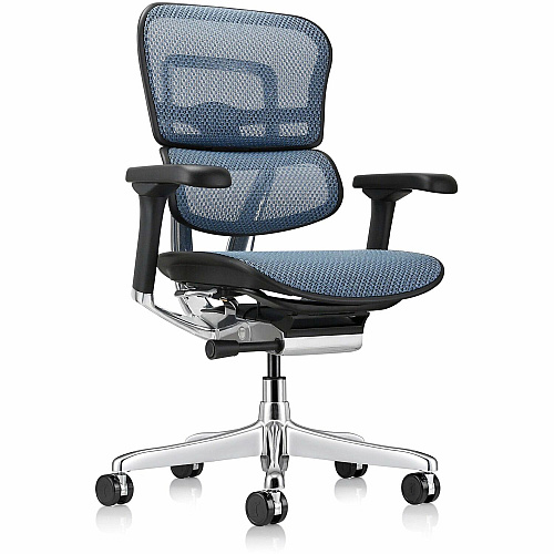 Eurotech ErgoHuman Gen2 Executive All-Mesh Chair Fiber Polymer Composite (FPC) Frame Material - 5-star Base - Blue - Mesh - Armrest - 1 Each (ME8ERGLOG2BL)