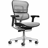 Eurotech ErgoHuman Gen2 Executive All-Mesh Chair Fiber Polymer Composite (FPC) Frame Material - 5-star Base - Gray - Mesh - Armrest - 1 Each (ME8ERGLOG2GY)