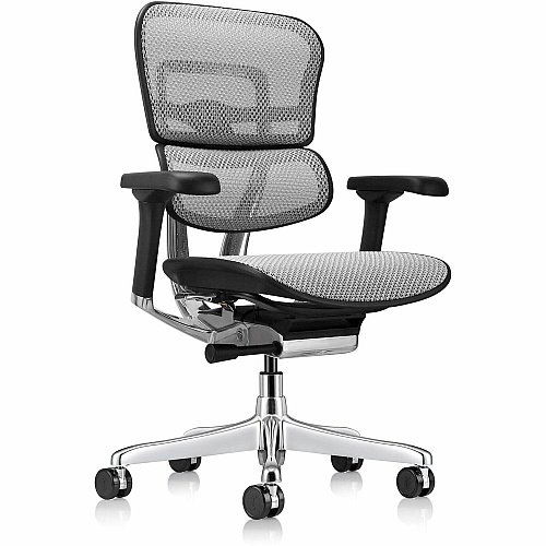 Eurotech ErgoHuman Gen2 Executive All-Mesh Chair Fiber Polymer Composite (FPC) Frame Material - 5-star Base - Gray - Mesh - Armrest - 1 Each (ME8ERGLOG2GY)