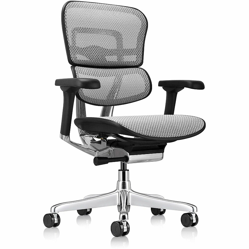Eurotech ErgoHuman Gen2 Executive All-Mesh Chair Fiber Polymer Composite (FPC) Frame Material - 5-star Base - Gray - Mesh - Armrest - 1 Each (ME8ERGLOG2GY)