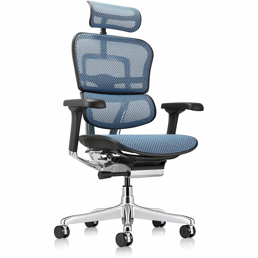 Eurotech ErgoHuman Gen2 Executive All-Mesh Chair Black Seat Color - Mesh Seat Material - Black Back Color - Mesh Back Material - Black Frame Color - Fiber Polymer Composite (FPC) Frame Material - 5-star Base - Blue - Mesh - Armrest - 1 Each (ME7ERGG2BL)