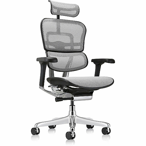 Eurotech ErgoHuman Gen2 Executive All-Mesh Chair Black Seat Color - Mesh Seat Material - Black Back Color - Mesh Back Material - Black Frame Color - Fiber Polymer Composite (FPC) Frame Material - 5-star Base - Gray - Mesh - Armrest - 1 Each (ME7ERGG2GY)