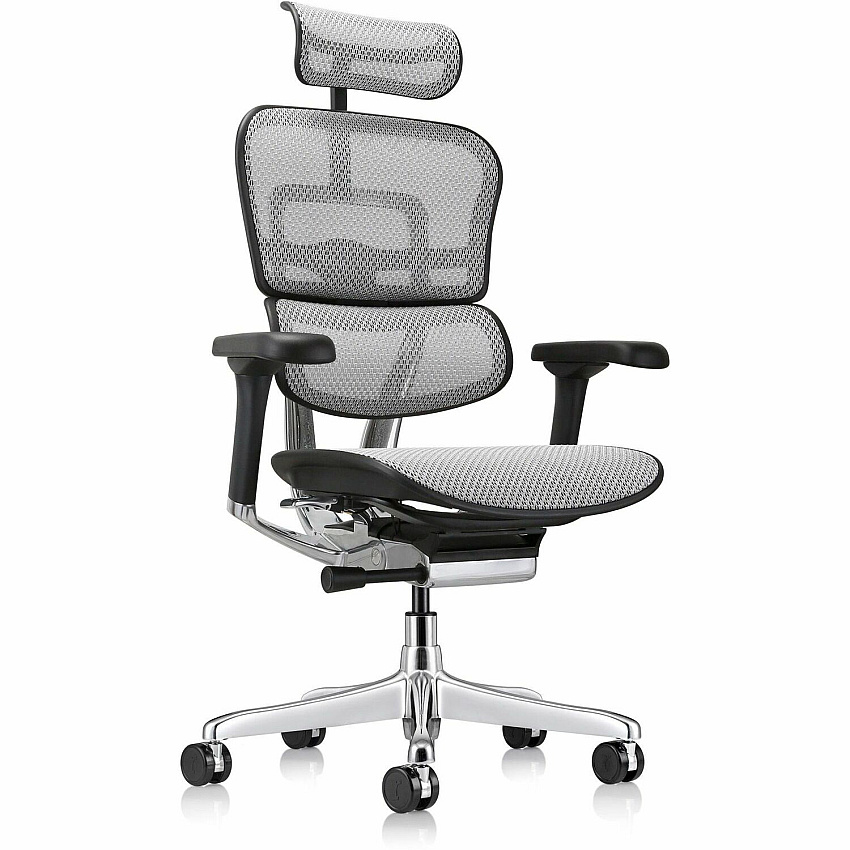 Eurotech ErgoHuman Gen2 Executive All-Mesh Chair Black Seat Color - Mesh Seat Material - Black Back Color - Mesh Back Material - Black Frame Color - Fiber Polymer Composite (FPC) Frame Material - 5-star Base - Gray - Mesh - Armrest - 1 Each (ME7ERGG2GY)