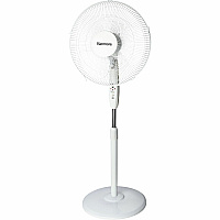 ESM 12
