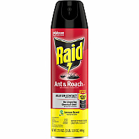 Raid Ant & Roach Killer Spray Spray - Kills Ants, Cockroaches, Water Bugs, Palmetto Bug, Silverfish, Carpet Beetle, Earwig, Spider, Lady Beetle, Black Widow Spider - 17.50 fl oz - Red - 1 Each (368214)