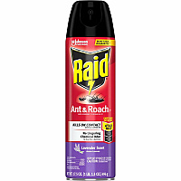 Raid Ant & Roach Killer Spray Spray - Kills Ants, Cockroaches, Water Bugs, Palmetto Bug, Silverfish, Carpet Beetle, Earwig, Spider, Lady Beetle, Black Widow Spider - 17.50 fl oz - Red - 1 Each (386221)