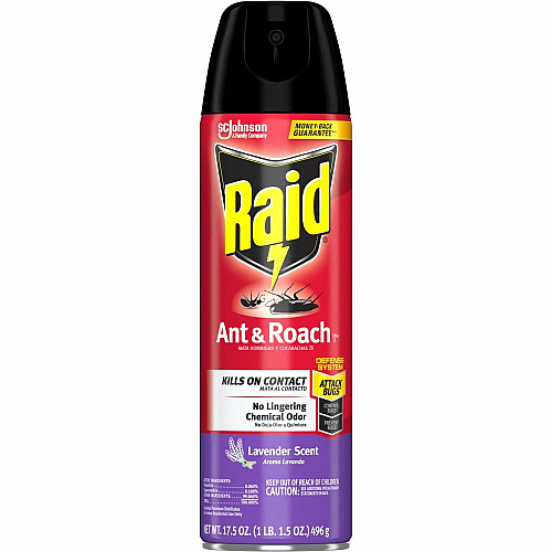 Raid Ant & Roach Killer Spray Spray - Kills Ants, Cockroaches, Water Bugs, Palmetto Bug, Silverfish, Carpet Beetle, Earwig, Spider, Lady Beetle, Black Widow Spider - 17.50 fl oz - Red - 1 Each (386221)
