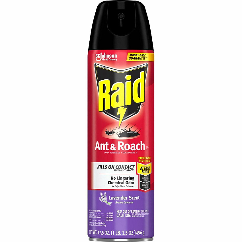 Raid Ant & Roach Killer Spray Spray - Kills Ants, Cockroaches, Water Bugs, Palmetto Bug, Silverfish, Carpet Beetle, Earwig, Spider, Lady Beetle, Black Widow Spider - 17.50 fl oz - Red - 1 Each (386221)