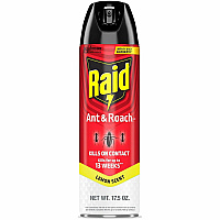 Raid Ant & Roach Killer Spray Spray - Kills Ants, Cockroaches, Crickets, Earwig, Spider, Lady Beetle, Silverfish, Stink Bug, Bugs - 17.05 fl oz - Red - 1 Each (386214)